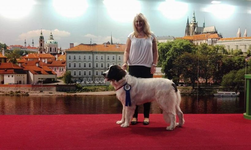 MVP Praha Letňany 30.10.2016 MVP Praha Letňany 30.10.2016