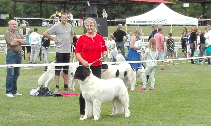 Interdog Bohemia – CACIB Mladá Boleslav Interdog Bohemia – CACIB Mladá Boleslav