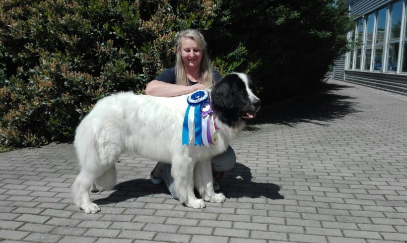 CACIB Prague Expo Dog Show – 6.5.2018 CACIB Prague Expo Dog Show – 6.5.2018