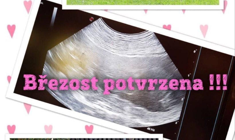 Březost potvrzena !!! Březost potvrzena !!!