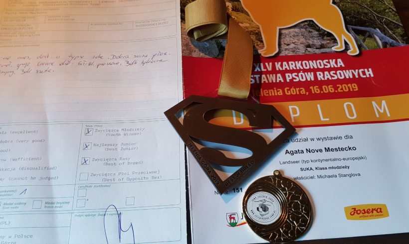 XLV. Karkonoska Wystawa Psów Rasowych – Polsko XLV. Karkonoska Wystawa Psów Rasowych – Polsko