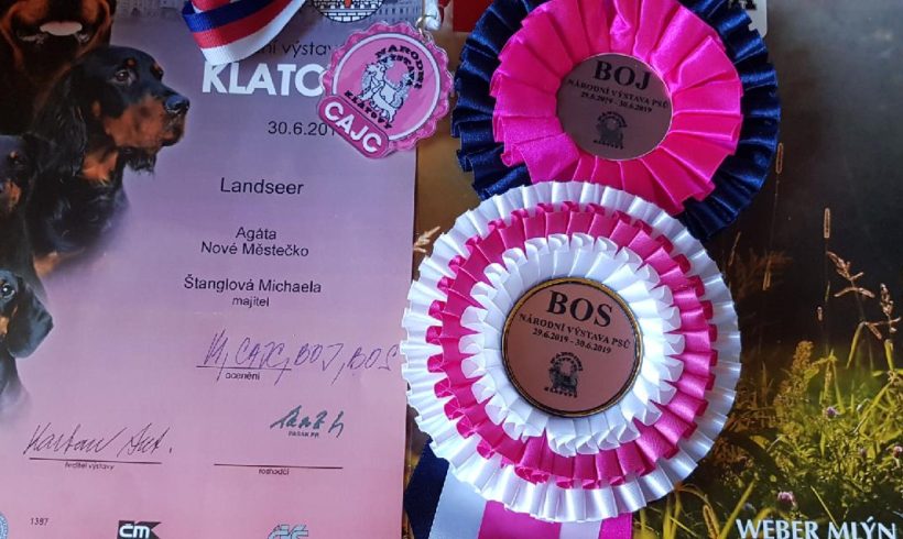 NVP Klatovy 30.6.2019 NVP Klatovy 30.6.2019
