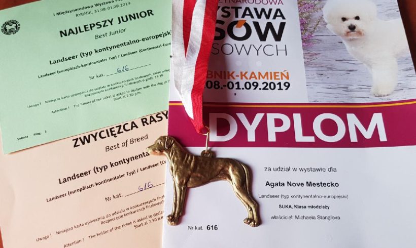 31.8.2019 – IDS Rybnik Kamieň 31.8.2019 – IDS Rybnik Kamieň