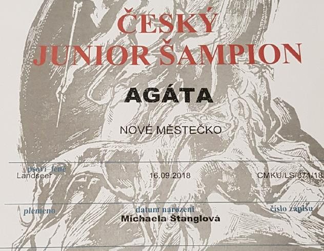Český Junior Šampion !!! Český Junior Šampion !!!