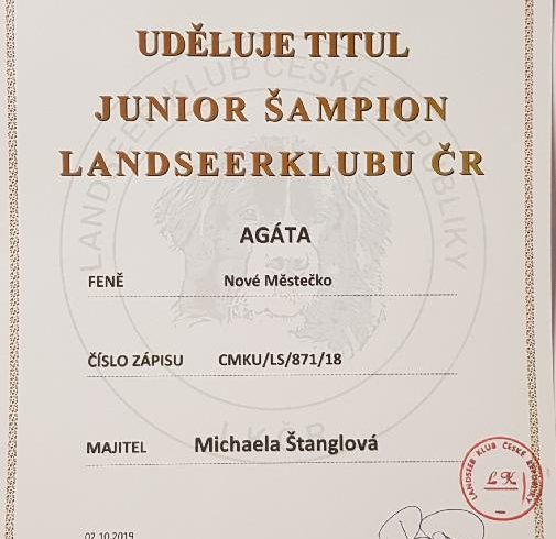 Šampion LK ČR Šampion LK ČR