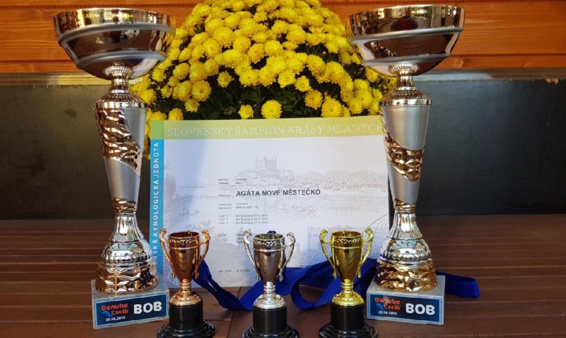 DANUBE CACIB BRATISLAVA 25. – 27.10.2019 DANUBE CACIB BRATISLAVA 25. – 27.10.2019